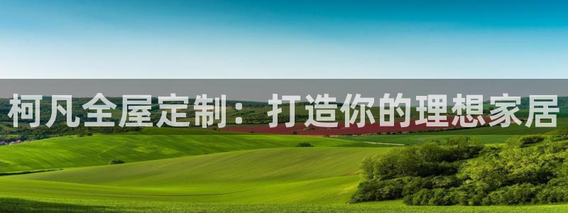 网上bb电子为什么那么假的