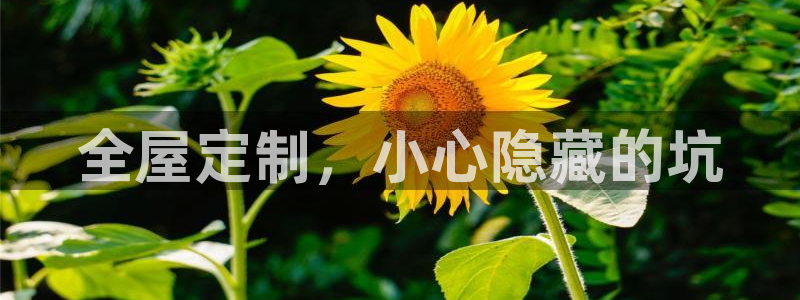 bb电子哪个游戏好赢钱