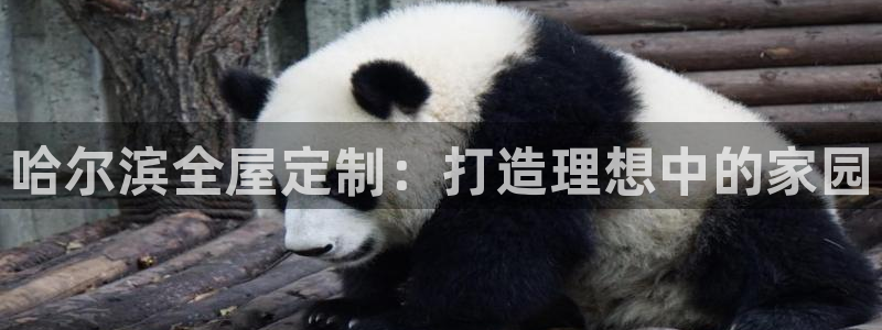 Bb电子琴和弦是哪个