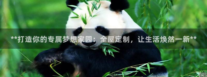 bb电子哪个平台好些