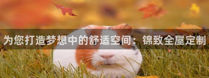 bb电子为什么总赢不了