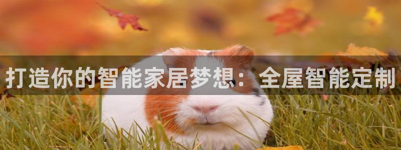 bb电子哪个平台好些