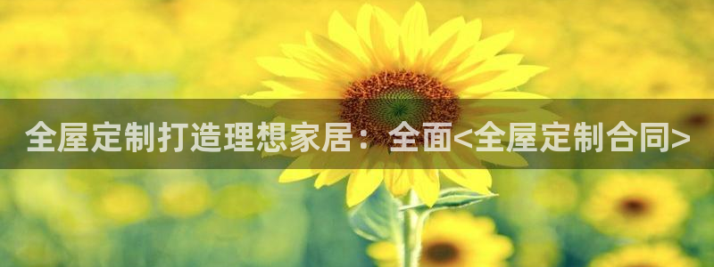 bb电子哪个平台好用