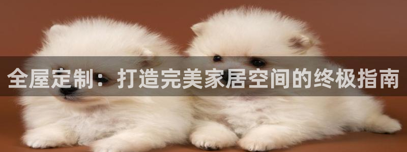 bB电子琴和弦