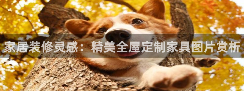 bb电子最简单设置方法