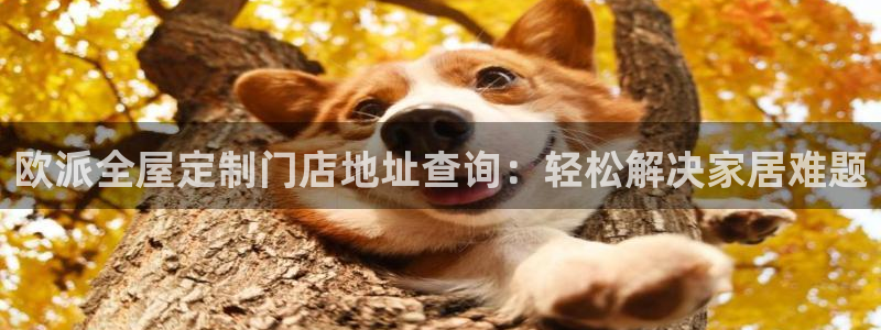 bb电子怎么英语怎么说