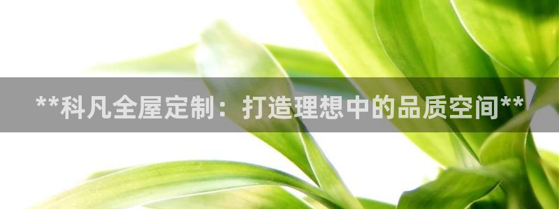 网上bb电子为什么那么假