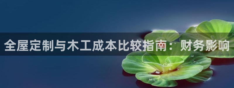 bb电子怎么英语怎么说