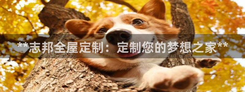 bb电子什么游戏好赢