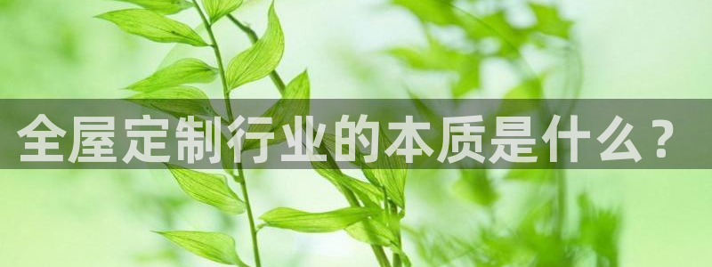 网上bb电子为什么那么假