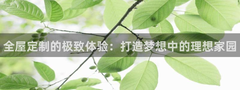 bb电子官网