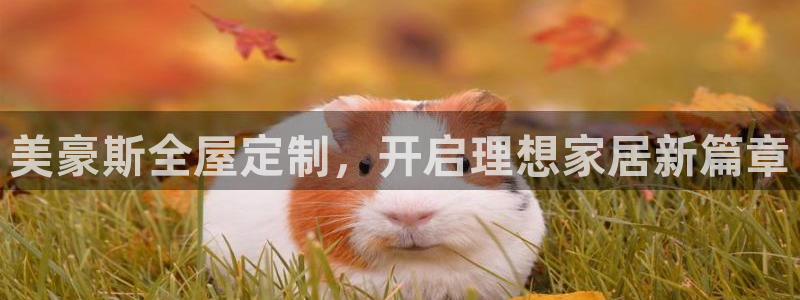 bb电子是怎么控制玩家输赢的
