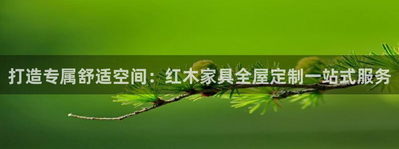 bb电子为什么总赢不了