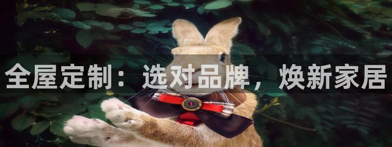 bb电子哪个平台好用
