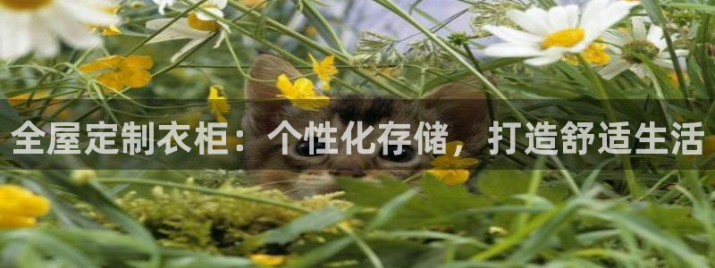 bb电子哪个游戏好赢钱
