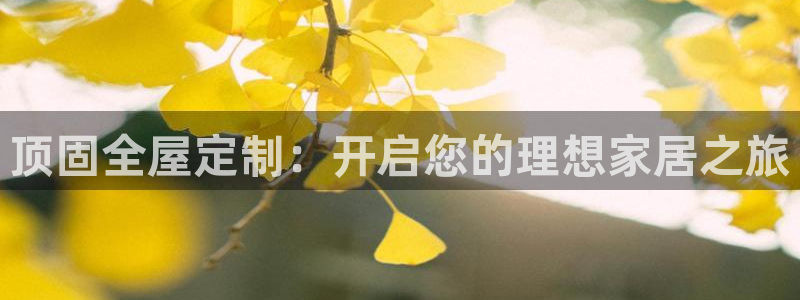 bb电子哪个平台好用一点
