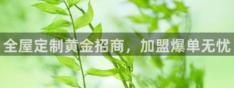 bb电子怎么英语怎么说