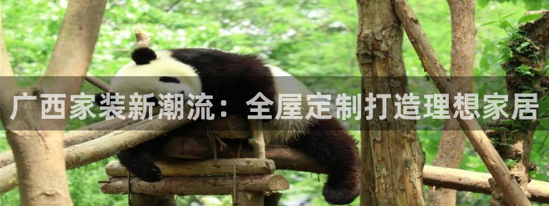 网上bb电子为什么那么假