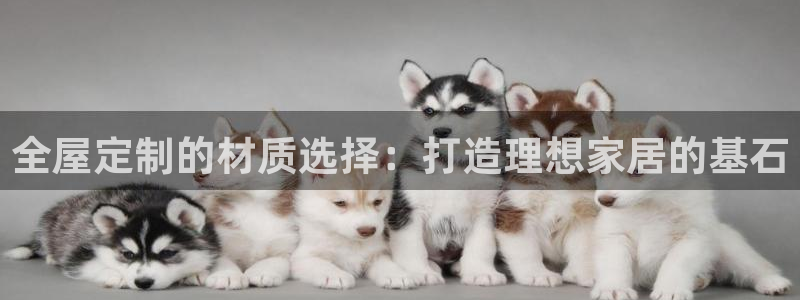 bb电子怎么英语怎么说