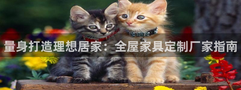 网上bb电子为什么那么假