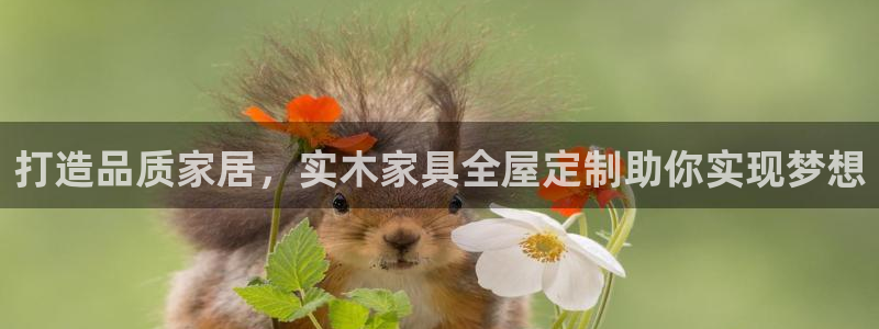 BB电子锁怎么接电