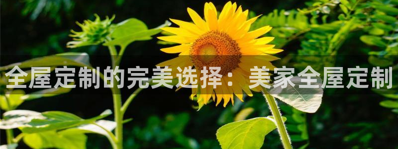 bb电子是怎么控制玩家输赢的