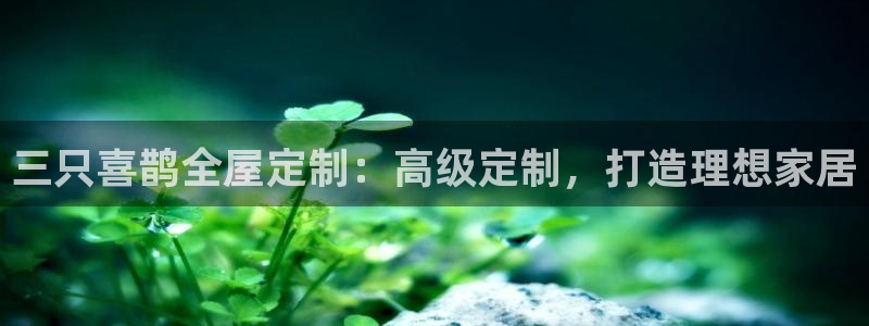 bb电子掉彩金