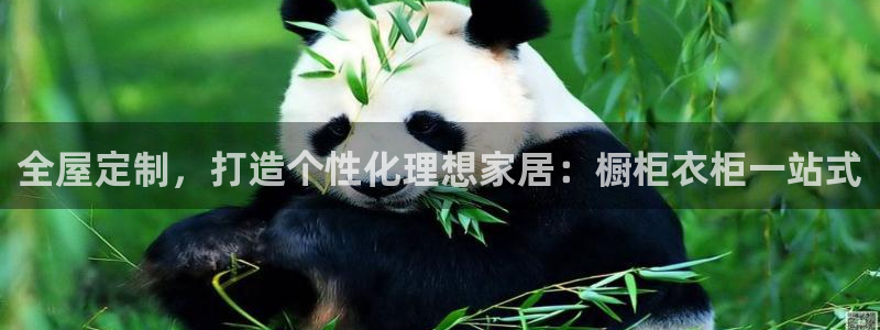 bb电子哪个平台好点