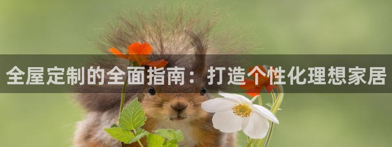 bb电子教育平台