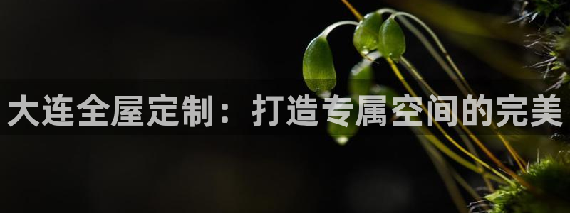 Bb电子琴和弦是哪个