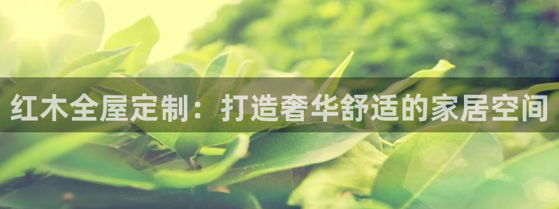 bb电子哪个平台好出款啊