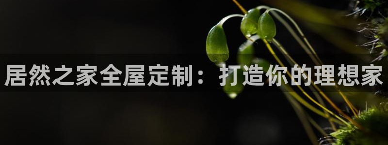 bb电子游戏作弊