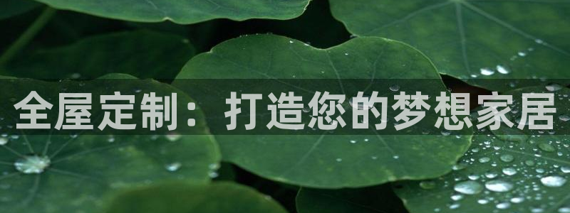 bb电子哪个平台好些