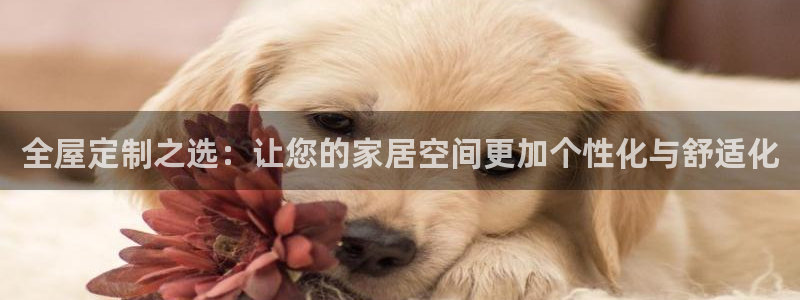 xbb电子游艺