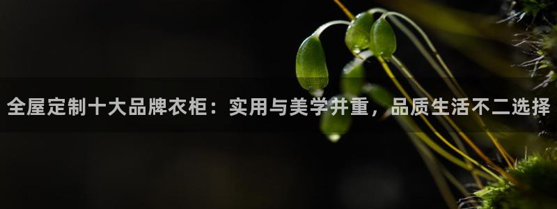 Bb电子琴和弦是哪个