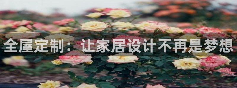 bB电子琴和弦