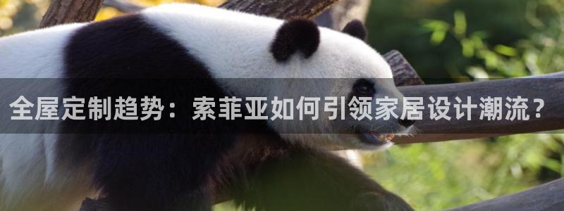 bb电子哪个平台好啊