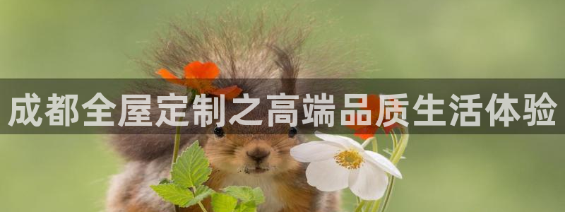 xbb电子游艺