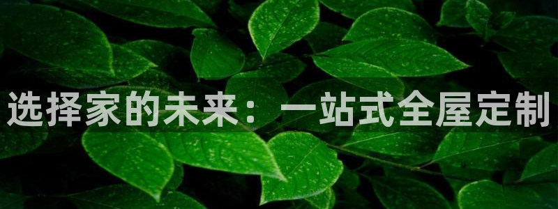 bb电子哪个平台好一点