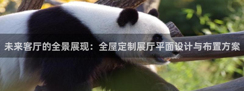 bb电子哪个平台好