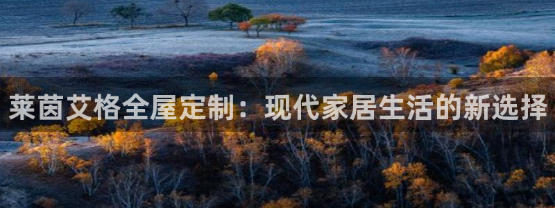 BB电子锁怎么接电