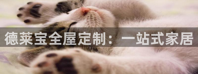 bb电子糖果哪个网站好mg官方电子平台
